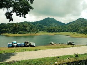 Periyar National Park, Thekkady