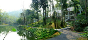 amaana plantation resort thekkady 