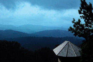 poetree sarovar portico thekkady 