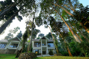 amaana plantation resort thekkady 