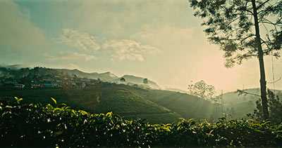 KOFILAND THEKKADY