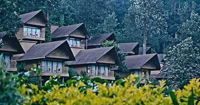 KOFILAND THEKKADY