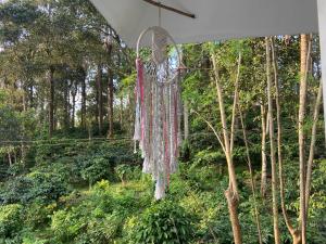 Ammus Homestay Thekkady