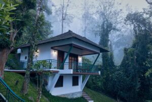 Forest Canopy Thekkady