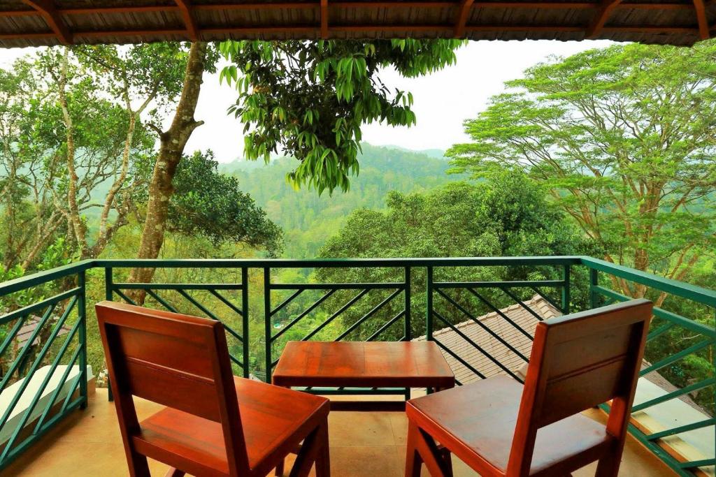 Forest Canopy Thekkady