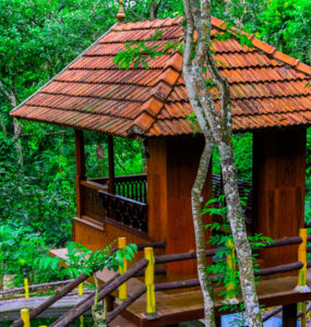 kalpavanam heritage resort thekkady 