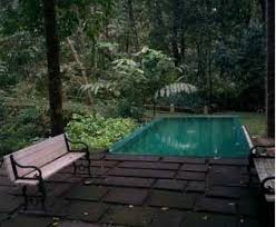 Mystic Mayapott Thekkady