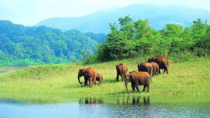 Thekkady