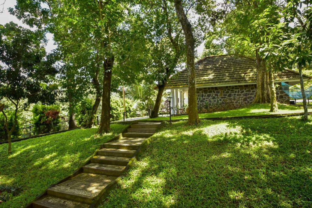 Treetop Thekkady