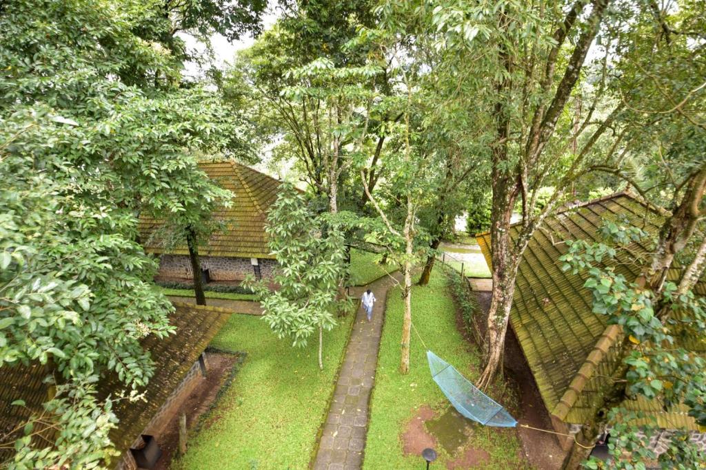 Treetop Thekkady