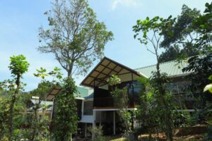 Coffee and Pepper Thekkady