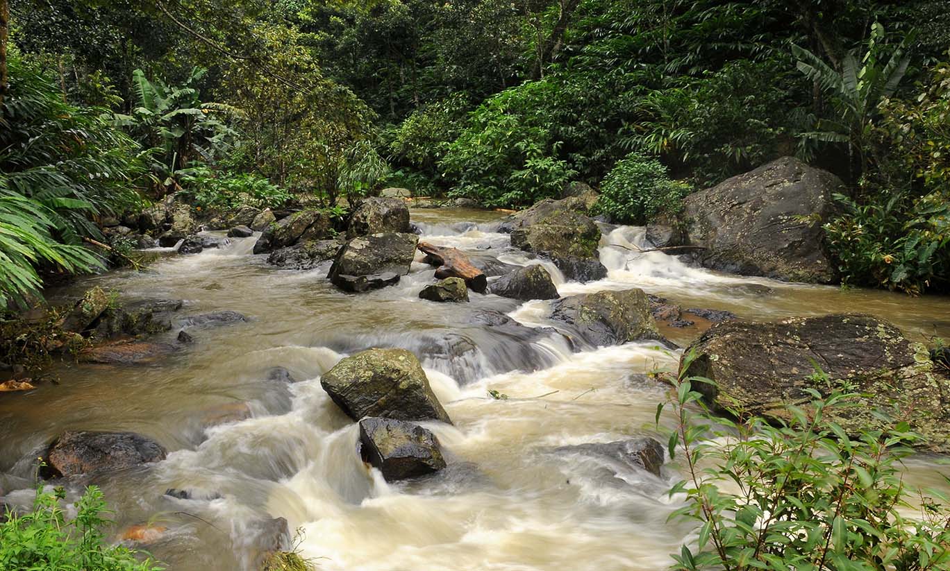 Eletaria Resort Thekkady