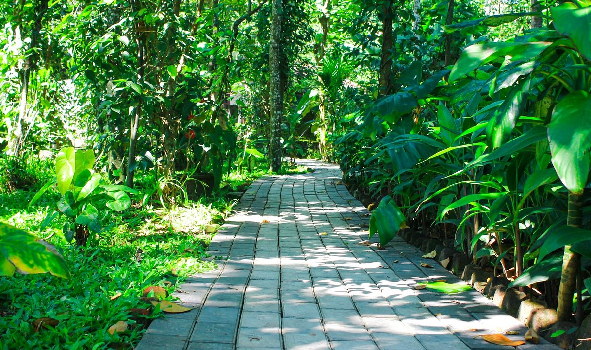 Green Court Thekkady