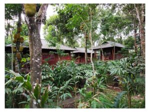 monsoon retreat thekkady 