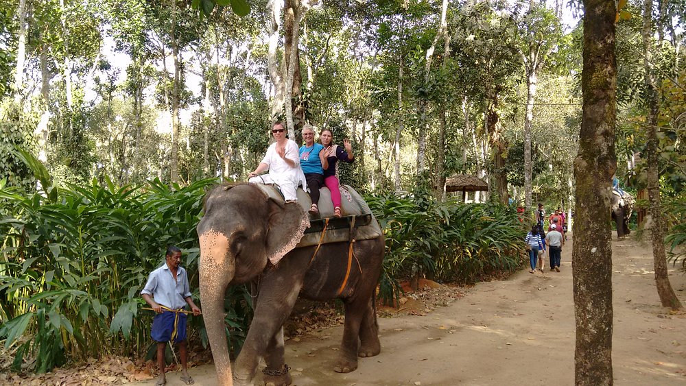 Summer Cottage Thekkady